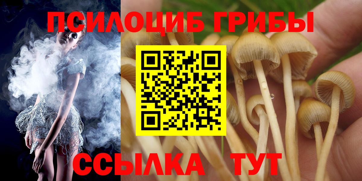 Галлюциногенные грибы мицелий  магазин продажи наркотиков  Сосновоборск  Вход с VPN 